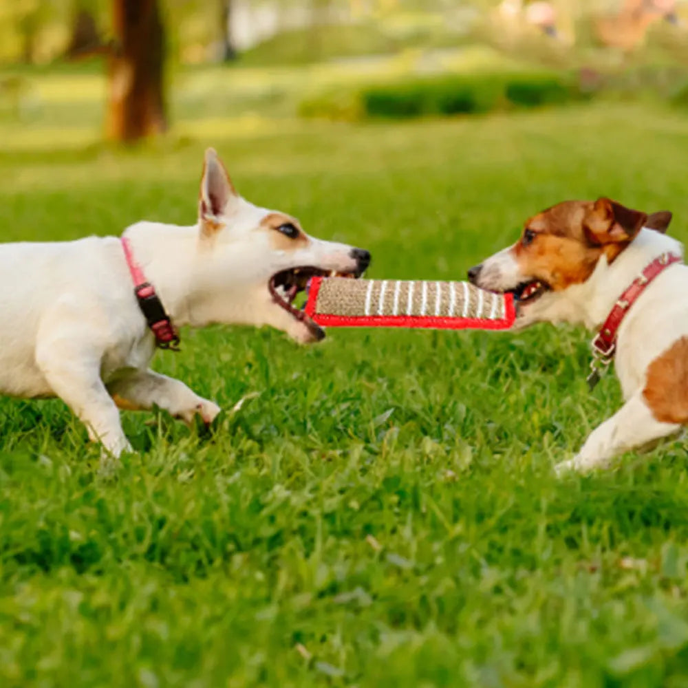 Hundebeißstäbe, Trainingszubehör zur Zahnpflege, Beiß- und Kauspielzeug für Hunde, Haustierbedarf