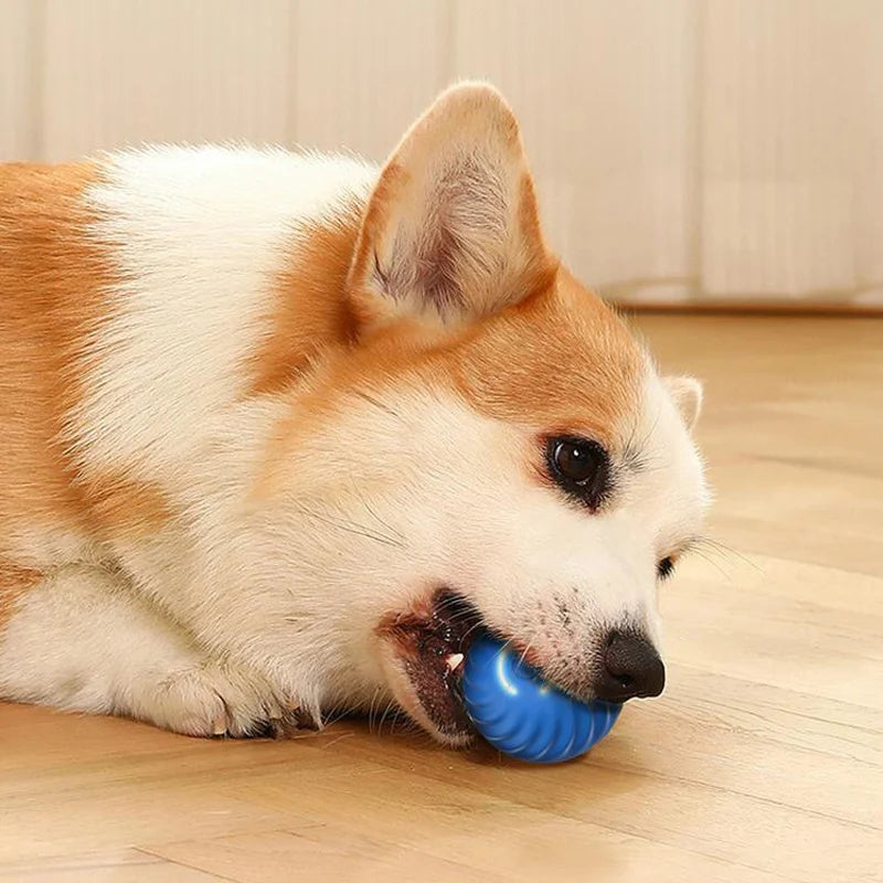 Automatischer beweglicher Hundespielzeugball, intelligenter USB-aufladbarer hüpfender und rotierender interaktiver Kauspielzeugball für Welpen