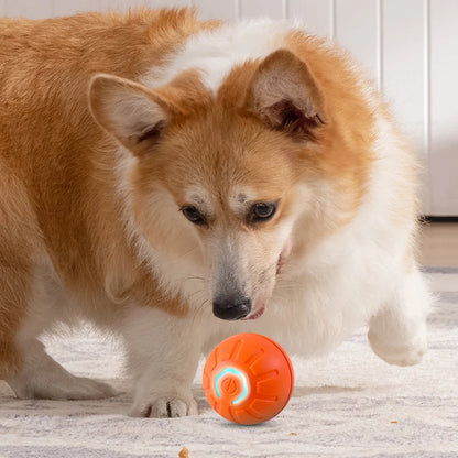 Automatischer beweglicher Hundespielzeugball, intelligenter USB-aufladbarer hüpfender und rotierender interaktiver Kauspielzeugball für Welpen