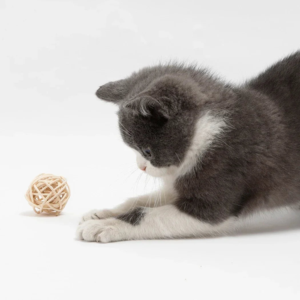 Rattan-Katzenspielzeug 2 Stück – Interaktive Feder- & Glockenbälle für verspielte Kätzchen