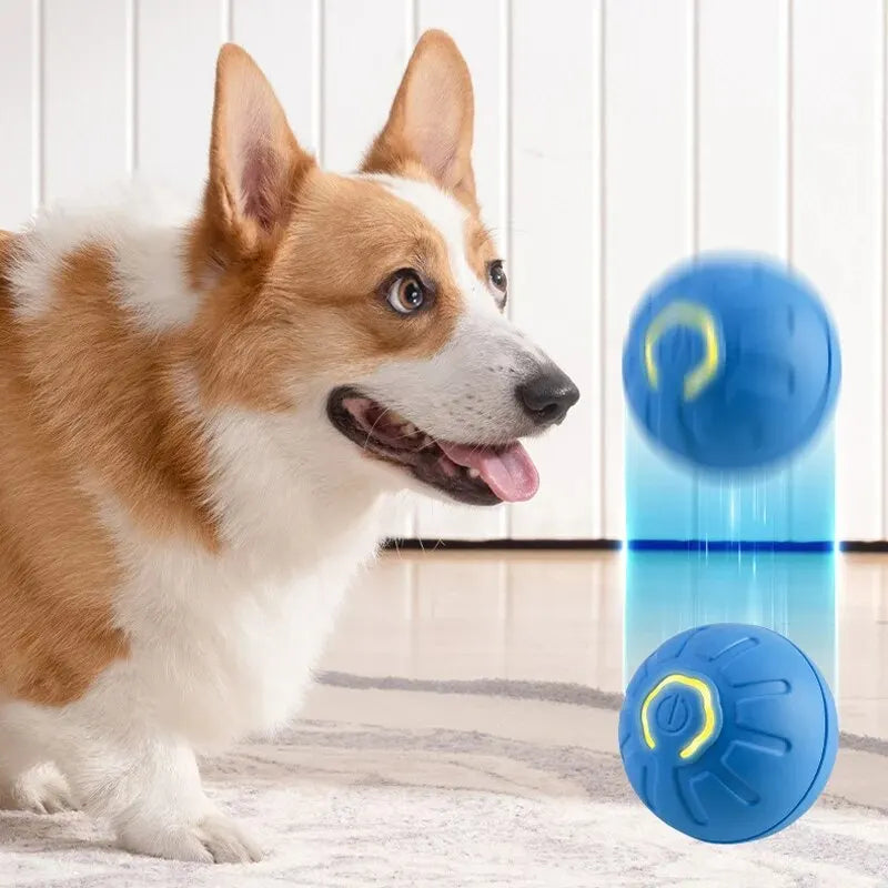 Automatischer beweglicher Hundespielzeugball, intelligenter USB-aufladbarer hüpfender und rotierender interaktiver Kauspielzeugball für Welpen